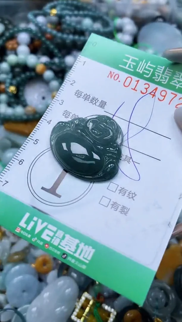 翡翠未镶嵌颈饰闪购0134972