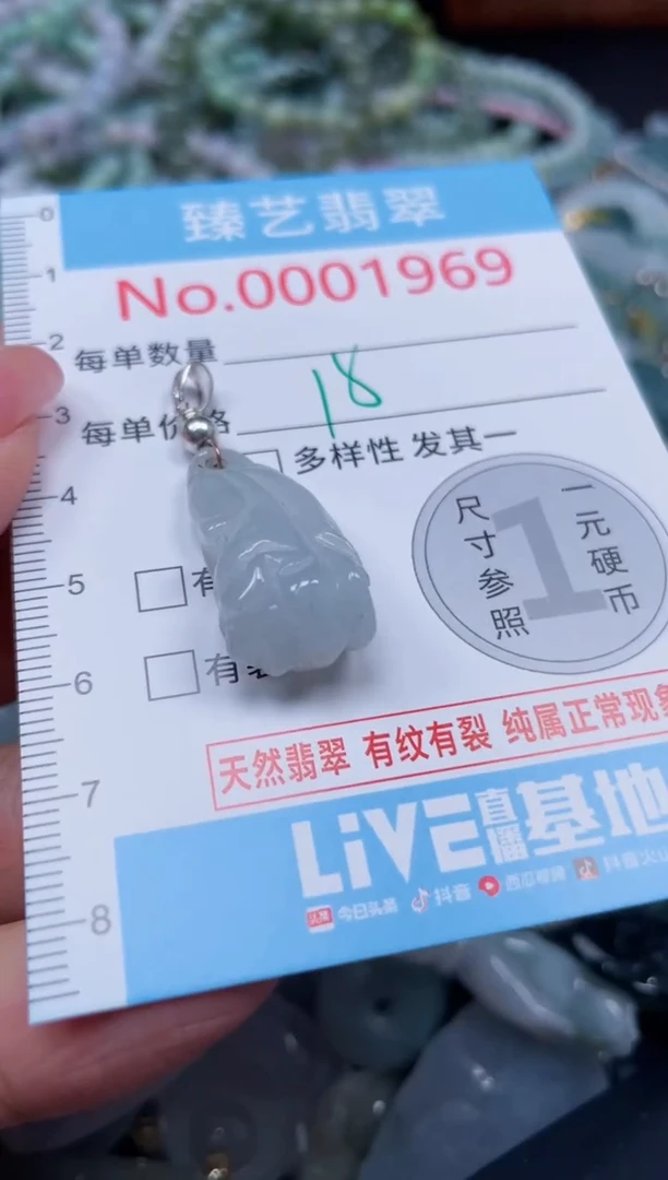 颈饰未镶嵌翡翠1969