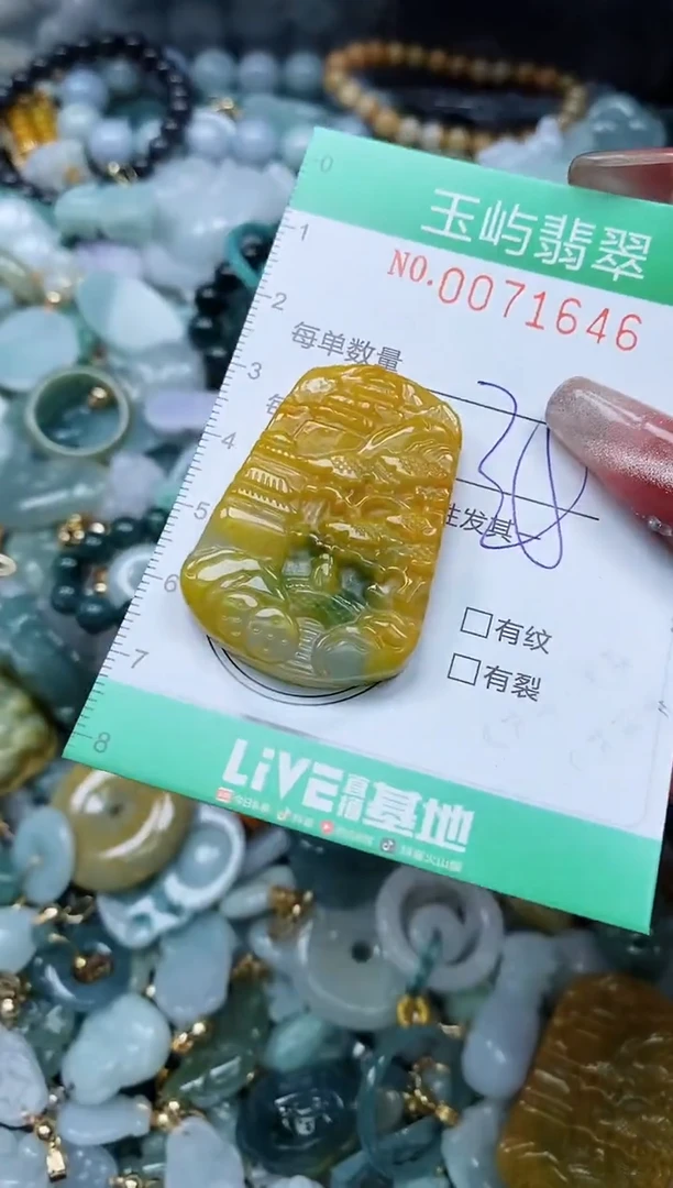 【闪购商品】翡翠颈饰未镶嵌闪购0071646