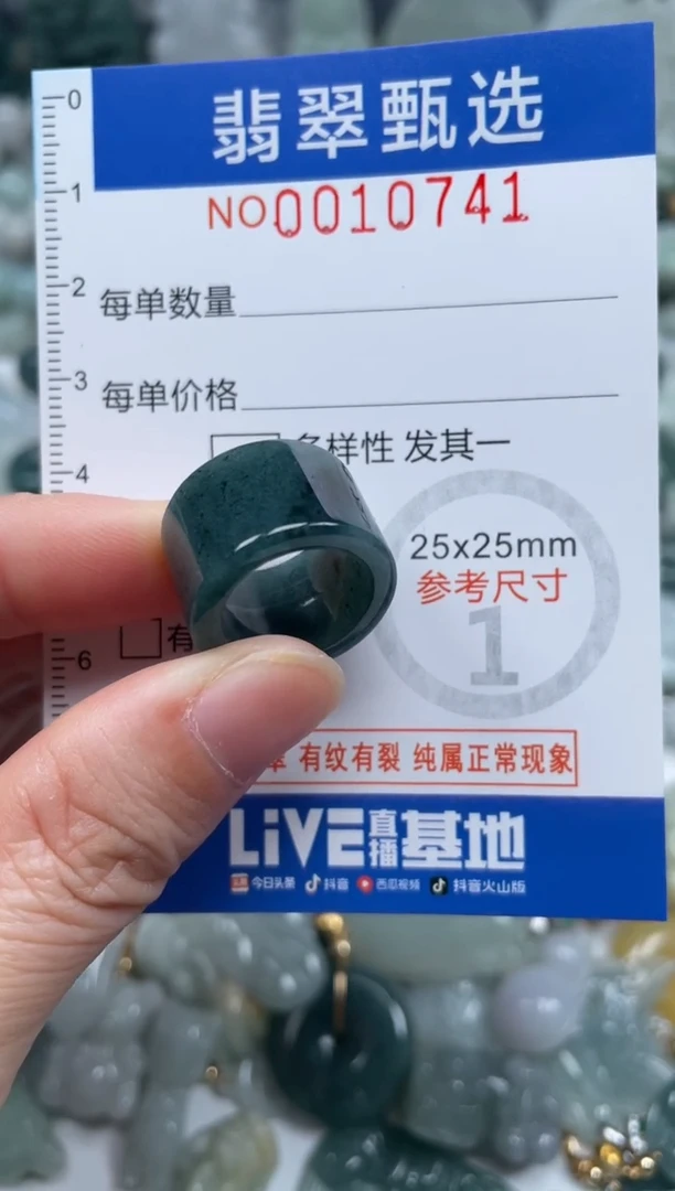 颈饰未镶嵌翡翠10741
