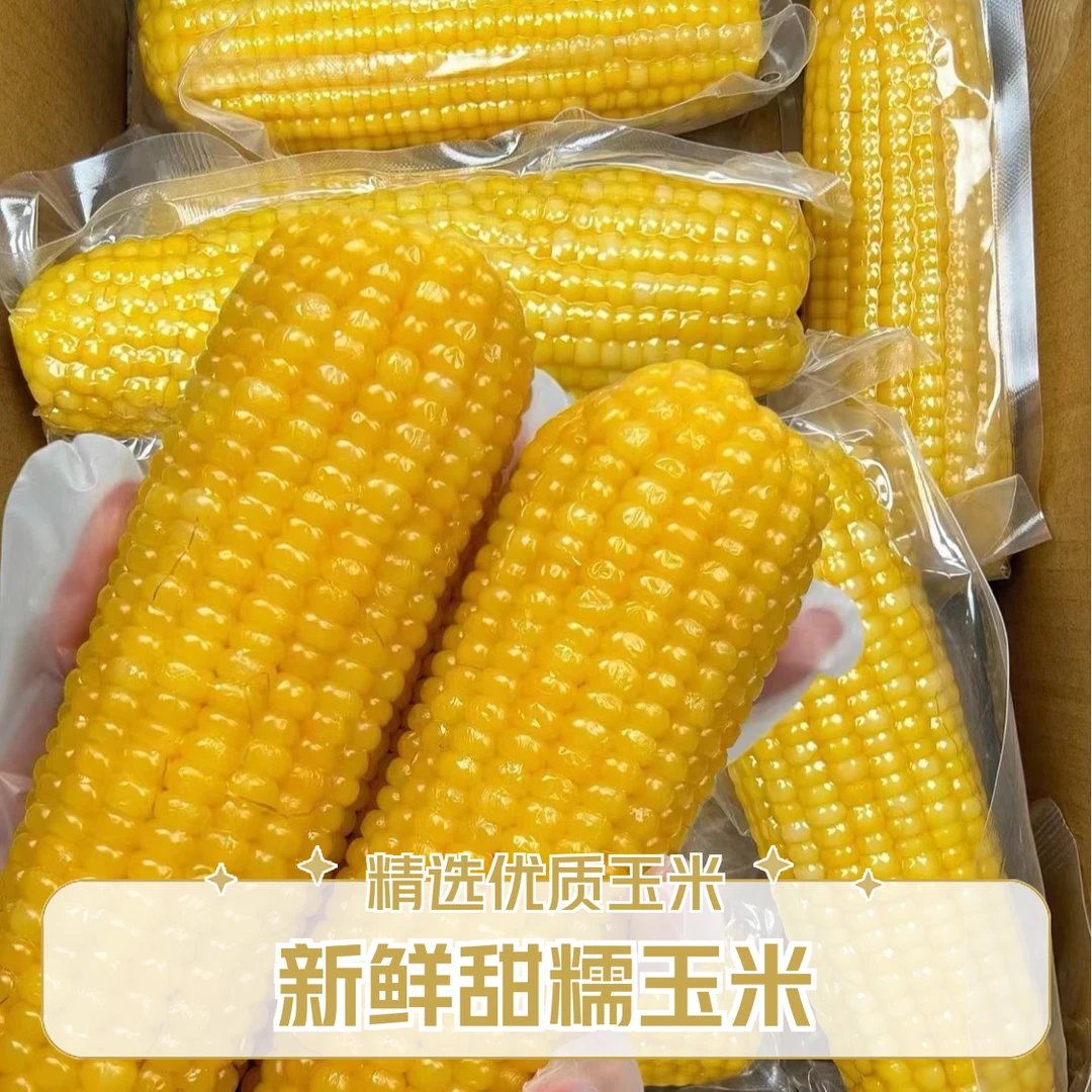 2025东北新玉米黑土地粘糯黄糯玉米苞米软糯香甜真空锁鲜常温可存