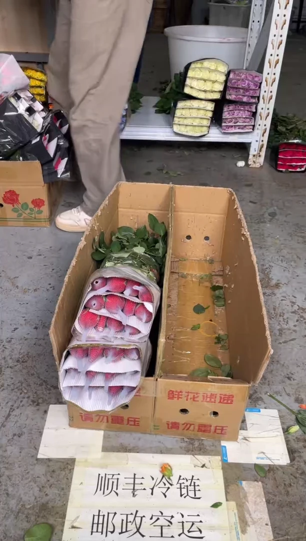 卡罗拉  4扎
