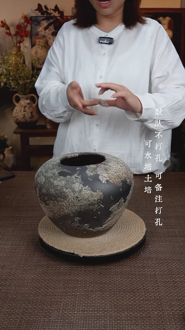 摆件069景德镇陶瓷花瓶