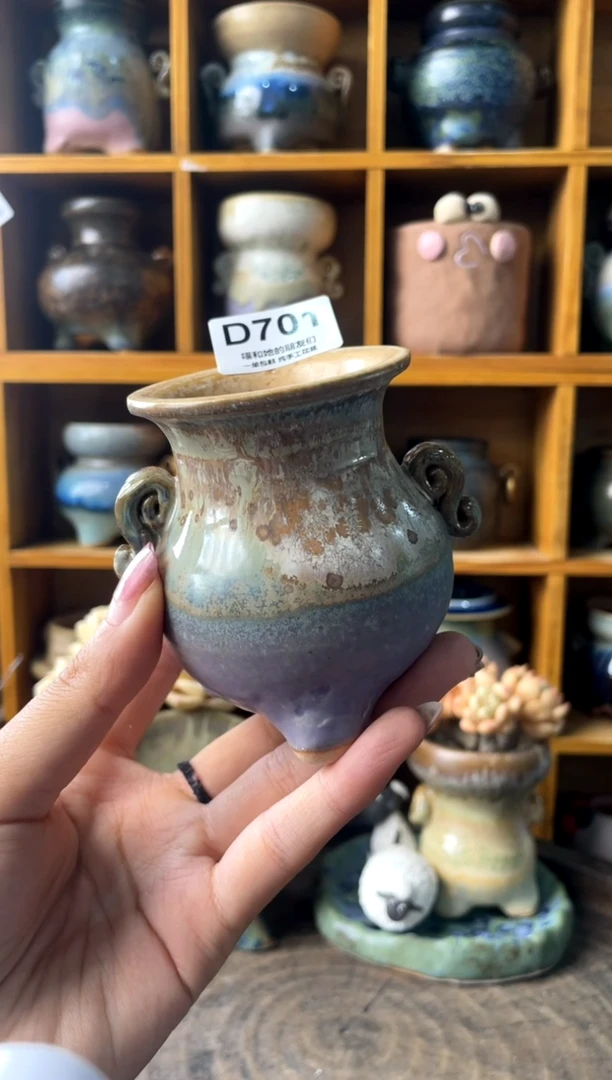 701内口5【多肉花盆多肉盆】