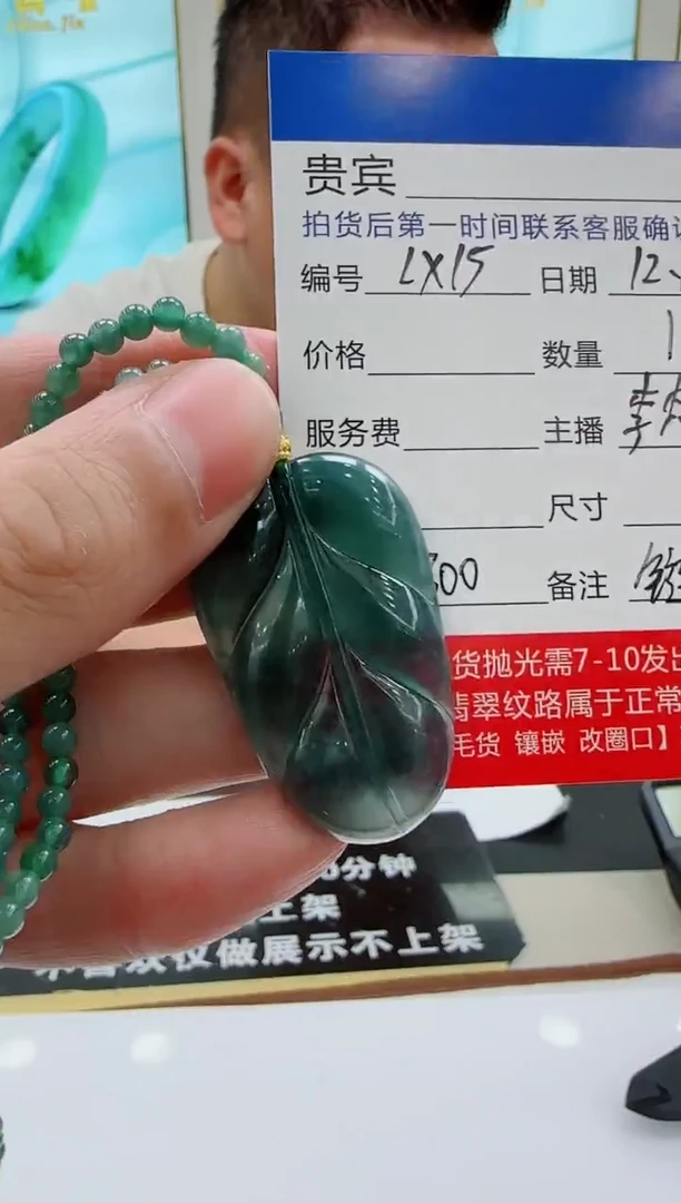 未镶嵌定制翡翠LX15翡翠吊坠赠珠链-多样性发其一