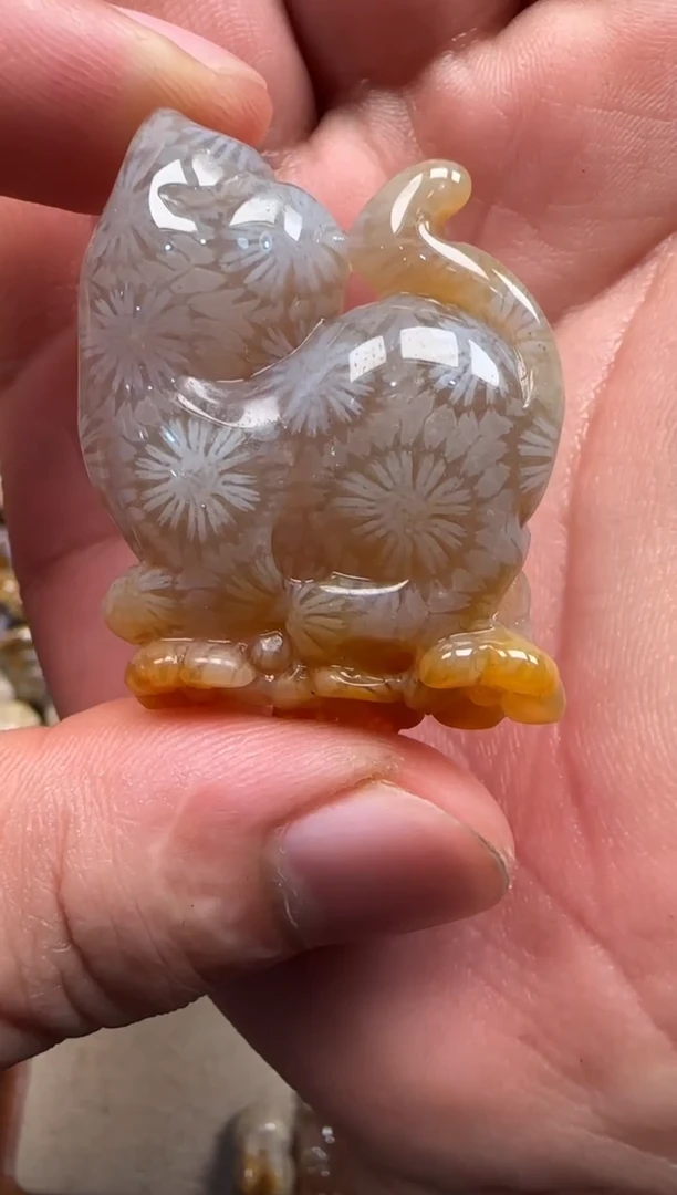 【闪购商品】硅化珊瑚（珊瑚玉）颈饰未镶嵌570