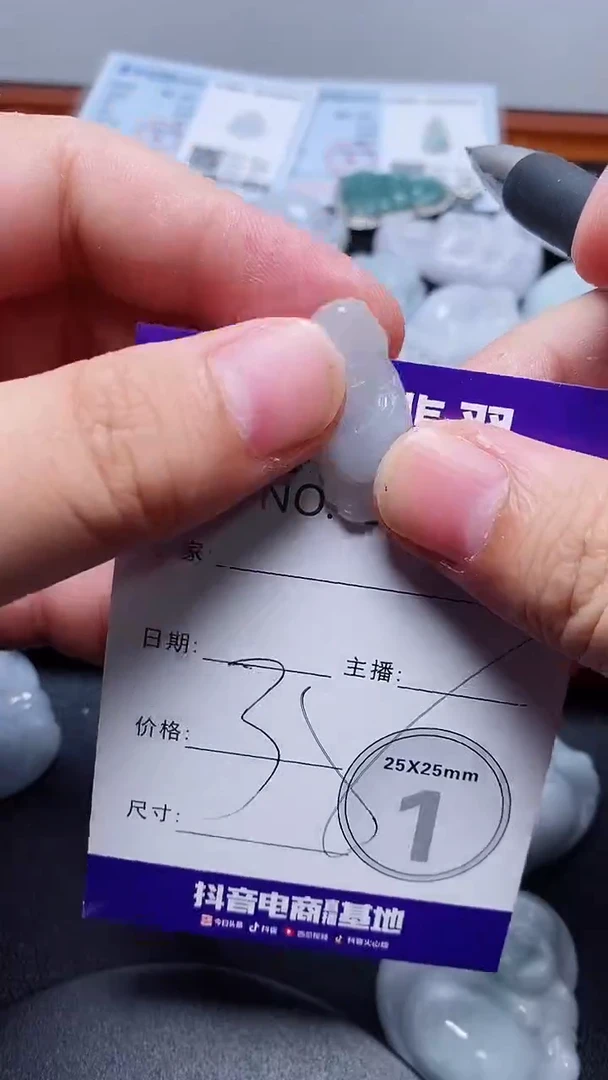 翡翠未镶嵌吊坠(赠链)394