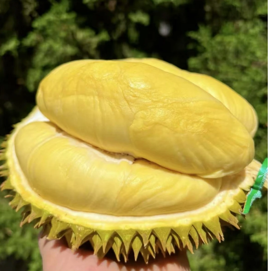 【小时达】一物一拍，新鲜空运泰国树熟金枕榴莲鲜果整果榴莲核小同城送金枕一果一重多规格金枕泰国