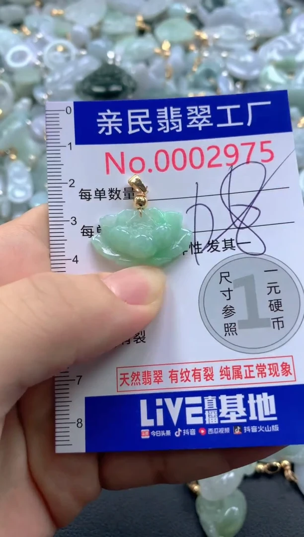 颈饰未镶嵌翡翠2975