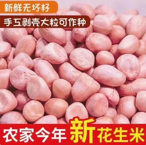 【2025年新花生】头茬新上市现脱壳干河南南阳大白沙花生米（贰）