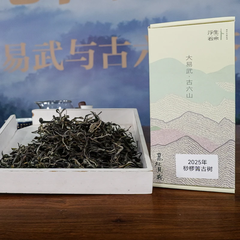 2025年易武张家湾桫椤箐挑采古树茶头春尝鲜分享100克
