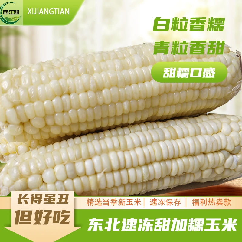 东北黑土地特产甜加糯玉米速冻香甜糯玉米早餐糯玉米