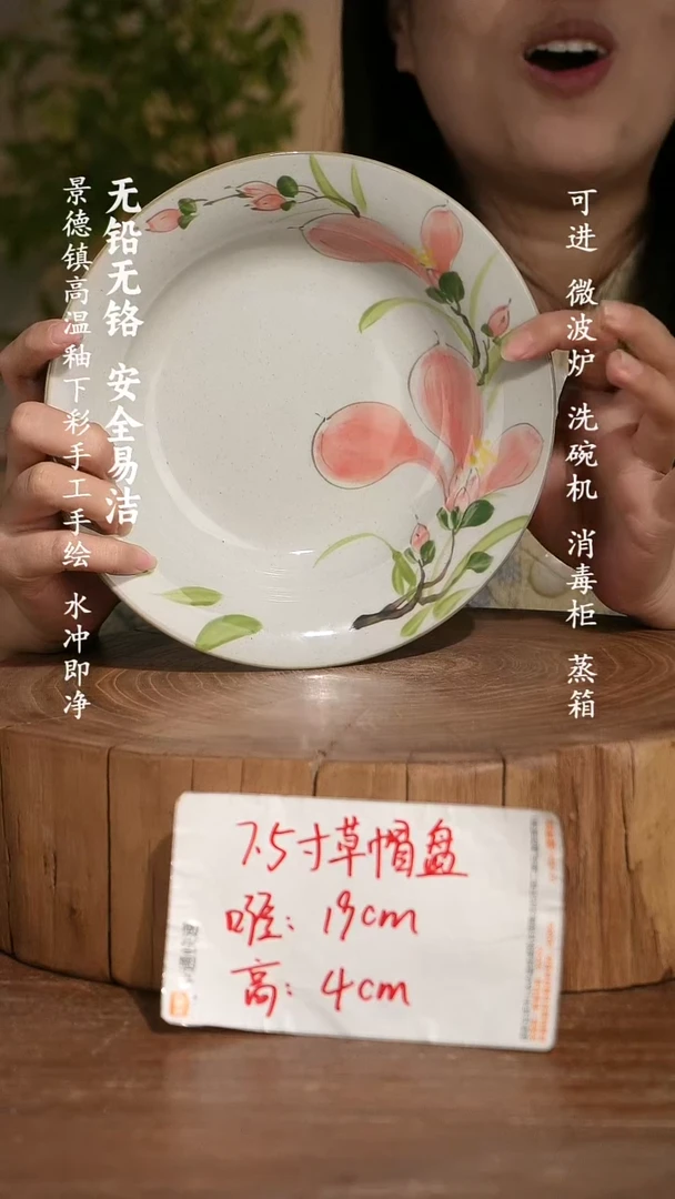 碗瓷景德镇手工手绘釉下彩高温瓷