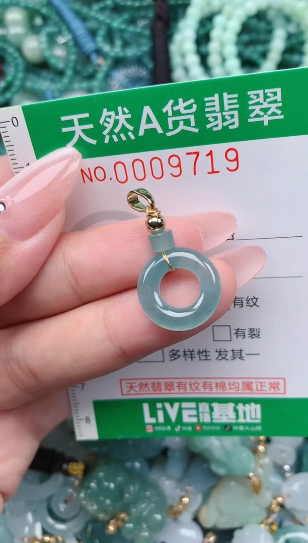 翡翠未镶嵌颈饰.0009719