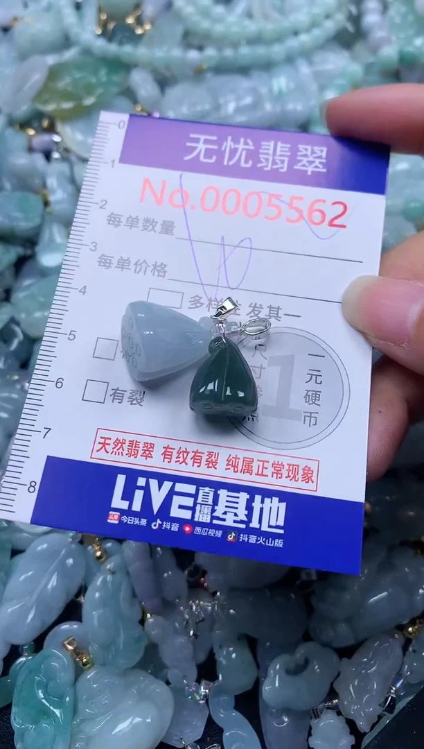 颈饰未镶嵌翡翠5562
