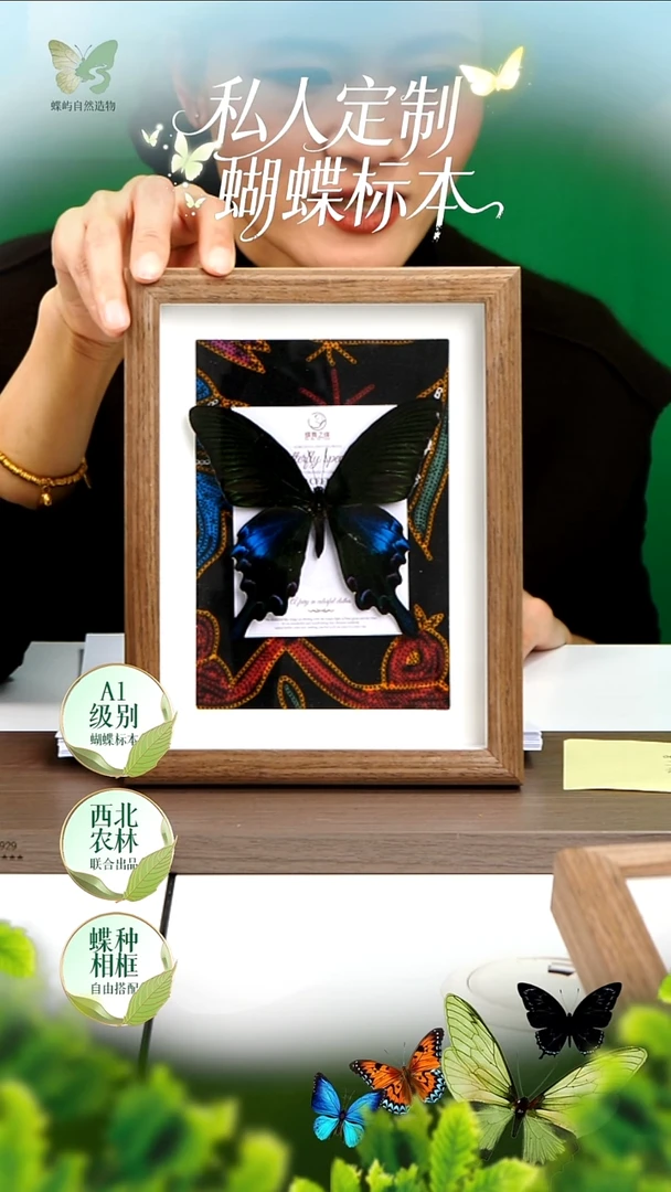 A1级碧凤蝶文创装饰画8寸布艺装裱