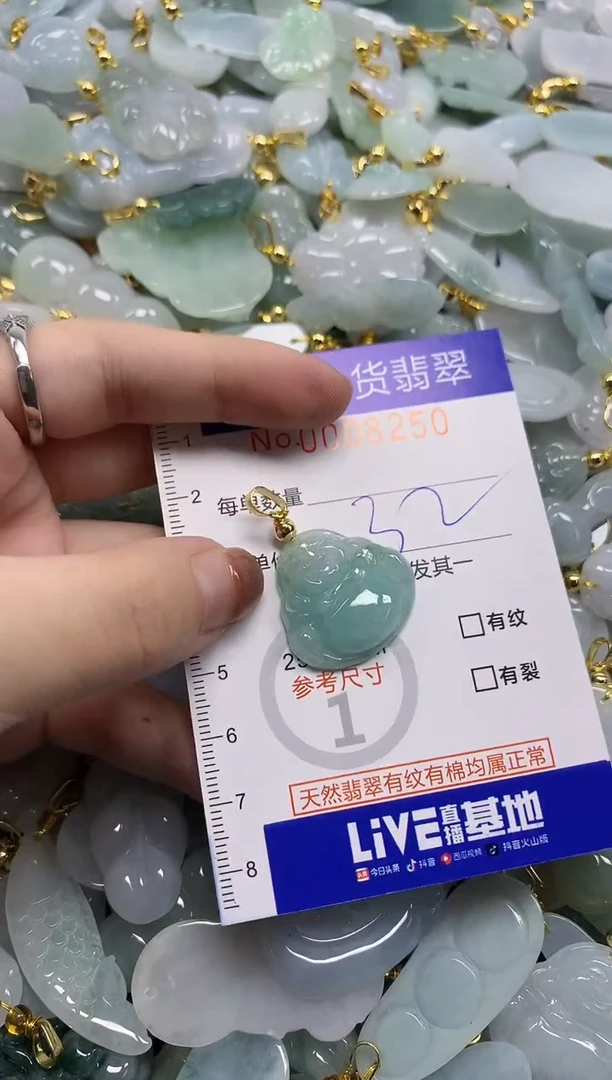 颈饰未镶嵌翡翠天然A货翡翠