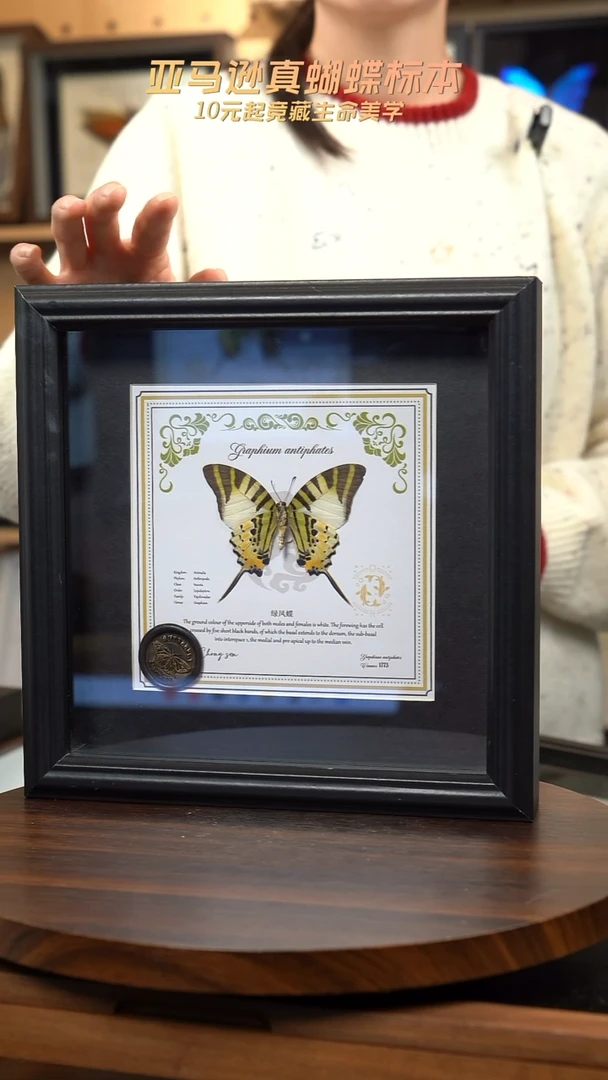 五指发财蝶双鱼款8寸欧式方框