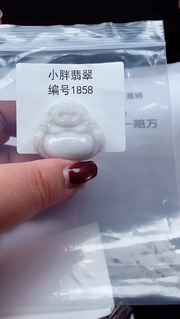 颈饰未镶嵌翡翠缅甸天然A货翡翠1858