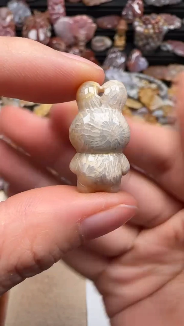 【闪购商品】硅化珊瑚（珊瑚玉）颈饰未镶嵌474