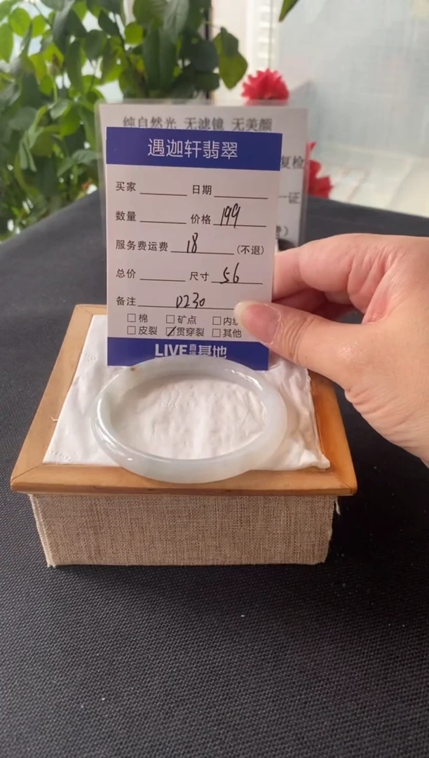 未镶嵌手镯翡翠56圈口 D203编码