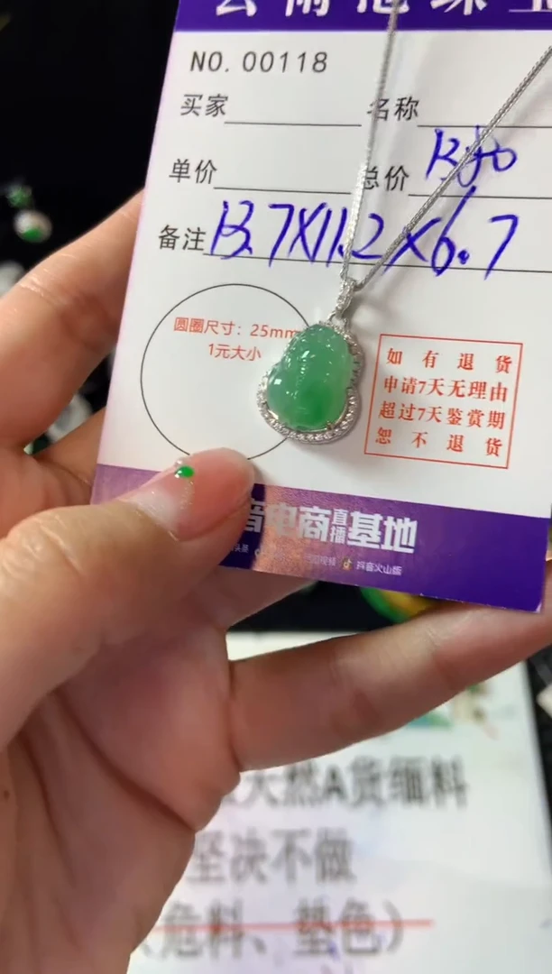 【闪购商品】翡翠颈饰银S925镶嵌翡翠