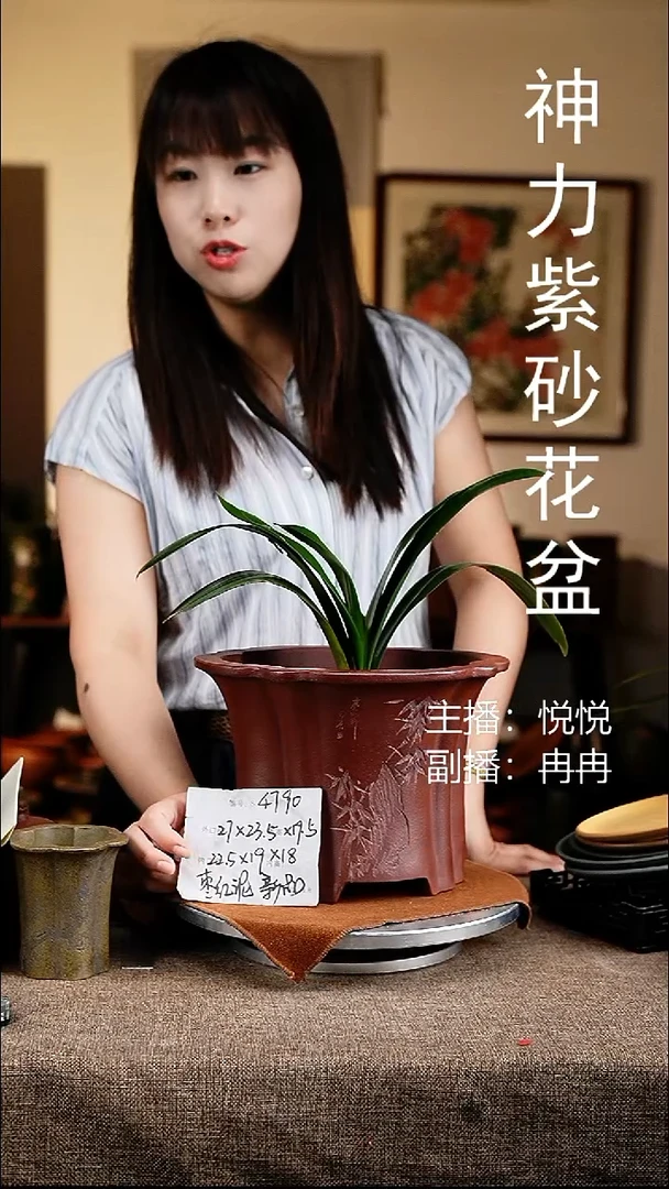 紫砂花盆花卉工艺4790