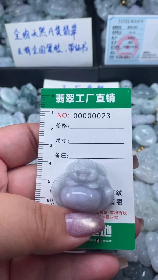 翡翠未镶嵌颈饰天然A货翡翠0023