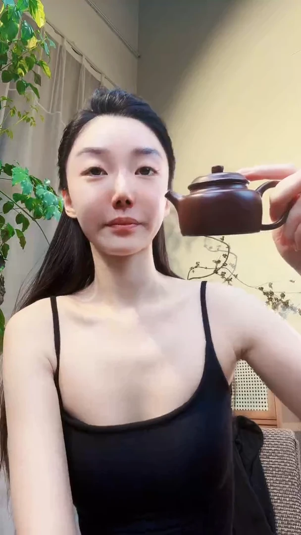 茶壶紫砂粉丝福利紫茄泥君德
