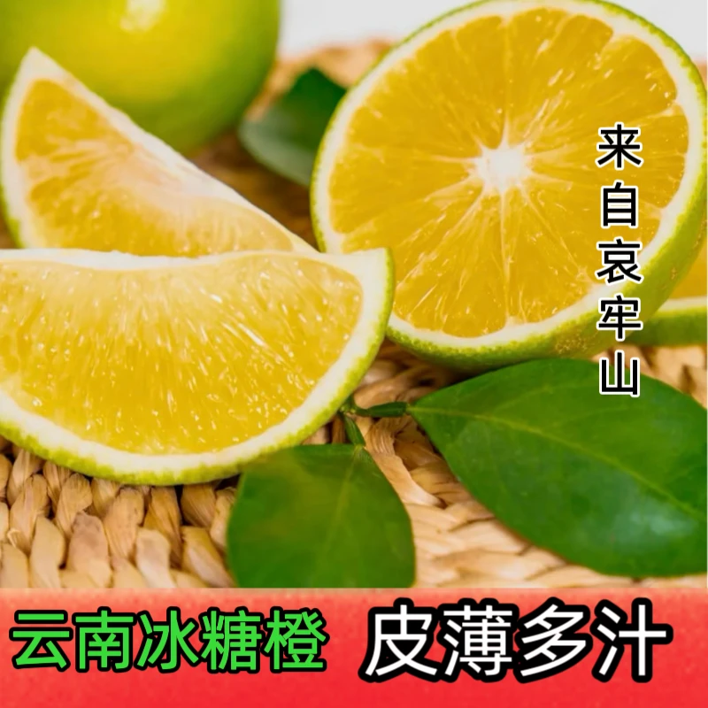哀牢山5-8斤青皮冰糖橙【褚橙之乡】新鲜应季水果现摘现发清甜多汁