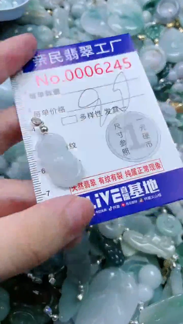 翡翠未镶嵌吊坠(不含链)6245