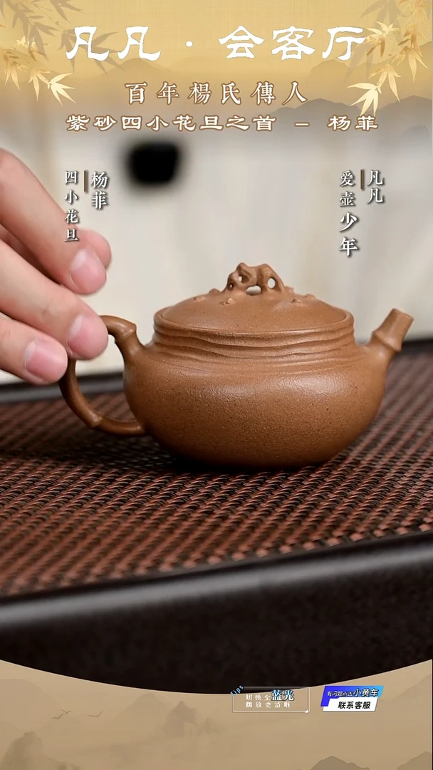 茶壶紫砂JPX杨菲91 怪石 蟹黄段170cc