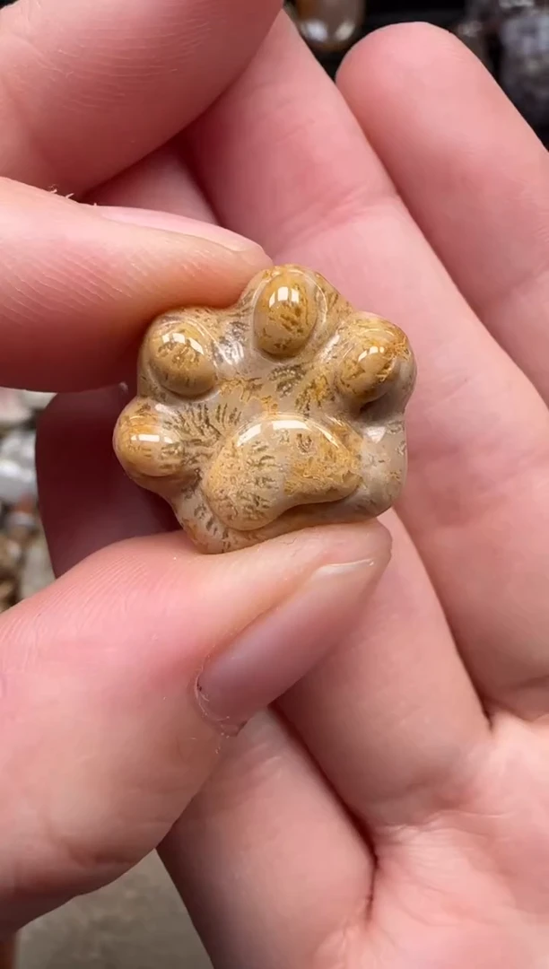 颈饰未镶嵌硅化珊瑚（珊瑚玉）042