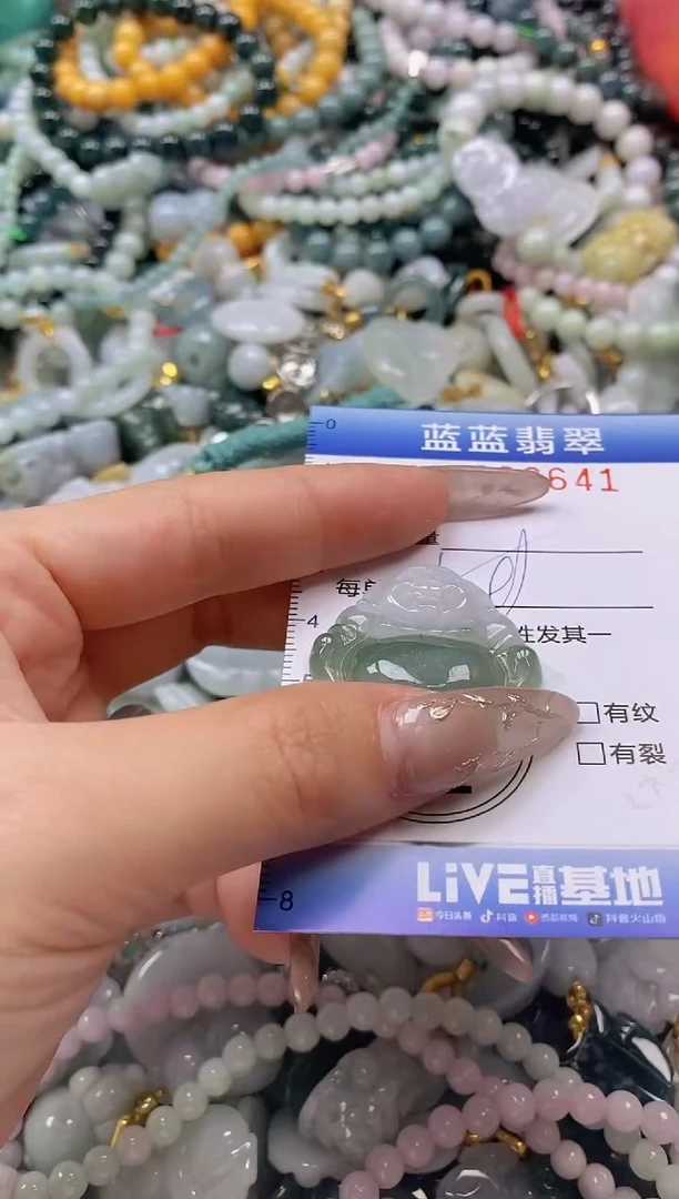 翡翠未镶嵌颈饰闪购0306641