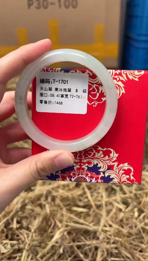 未镶嵌手镯石英质玉T-1701