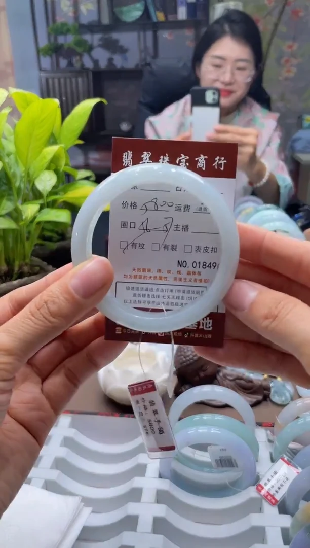 未镶嵌手镯翡翠1849****