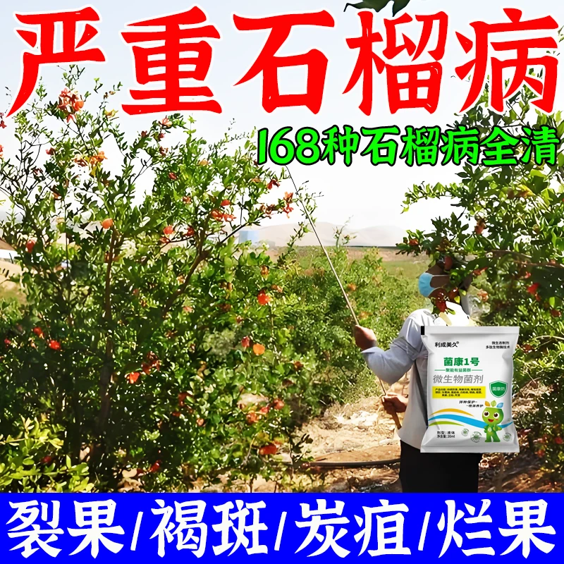 石榴病全管石榴病害专用干腐病炭疽病褐斑病煤污病干腐病裂果病清