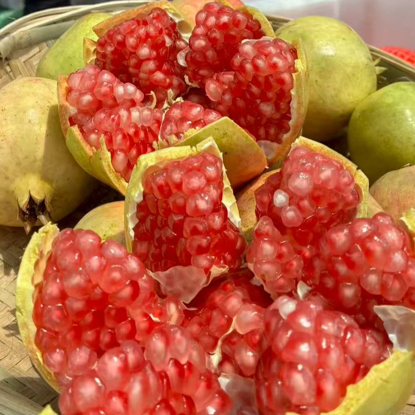 【勺子专属】5斤突尼斯软籽石榴  顺丰包邮 现摘现发坏果包赔