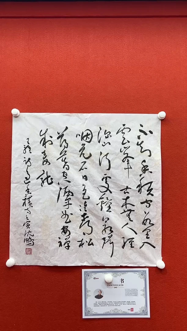 书法复星书画精选作品