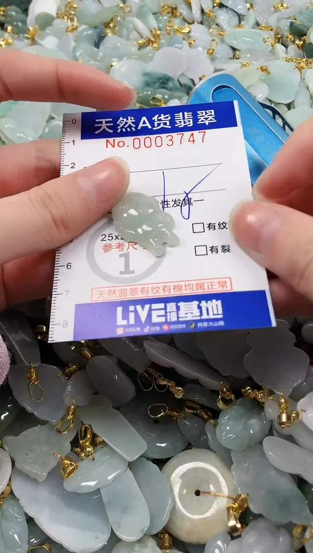 颈饰未镶嵌翡翠纯天然a货翡翠
