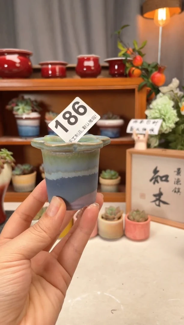 瓷片186知木小芳花盆直播编号