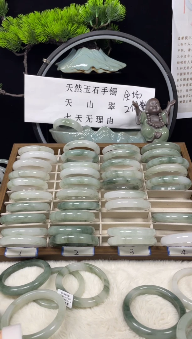 未镶嵌手镯石英质玉（天山翠）736