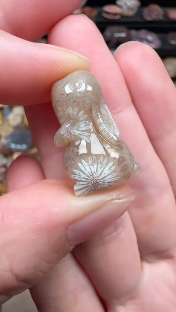 颈饰未镶嵌硅化珊瑚（珊瑚玉）185