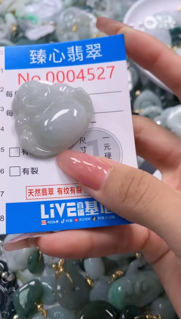 翡翠未镶嵌颈饰4527