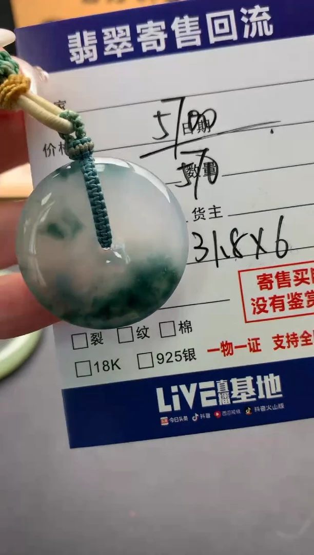 翡翠未镶嵌颈饰10137965