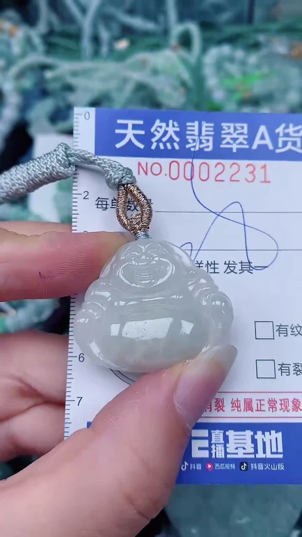 翡翠未镶嵌颈饰00002231