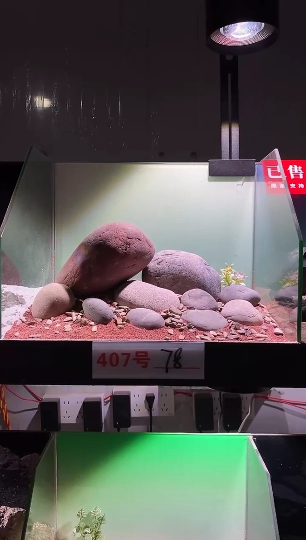407号鱼缸造景（不含底砂）