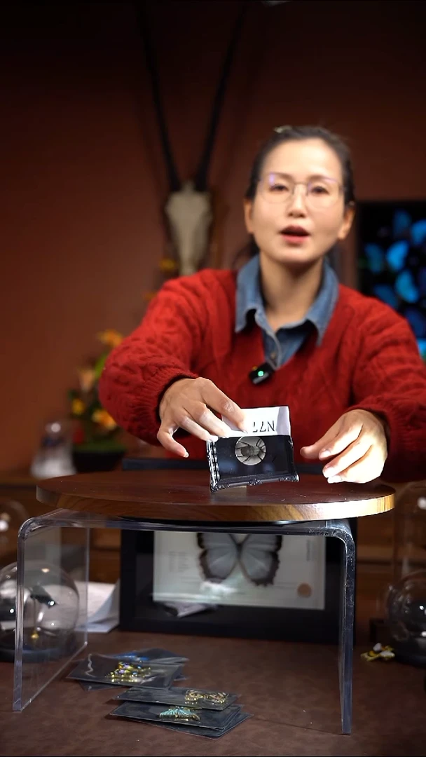 N773鹿角花金龟冰箱贴