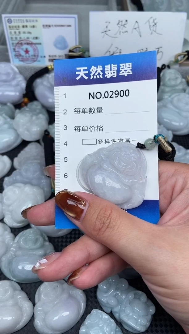 颈饰未镶嵌翡翠纯天然A货翡翠2900