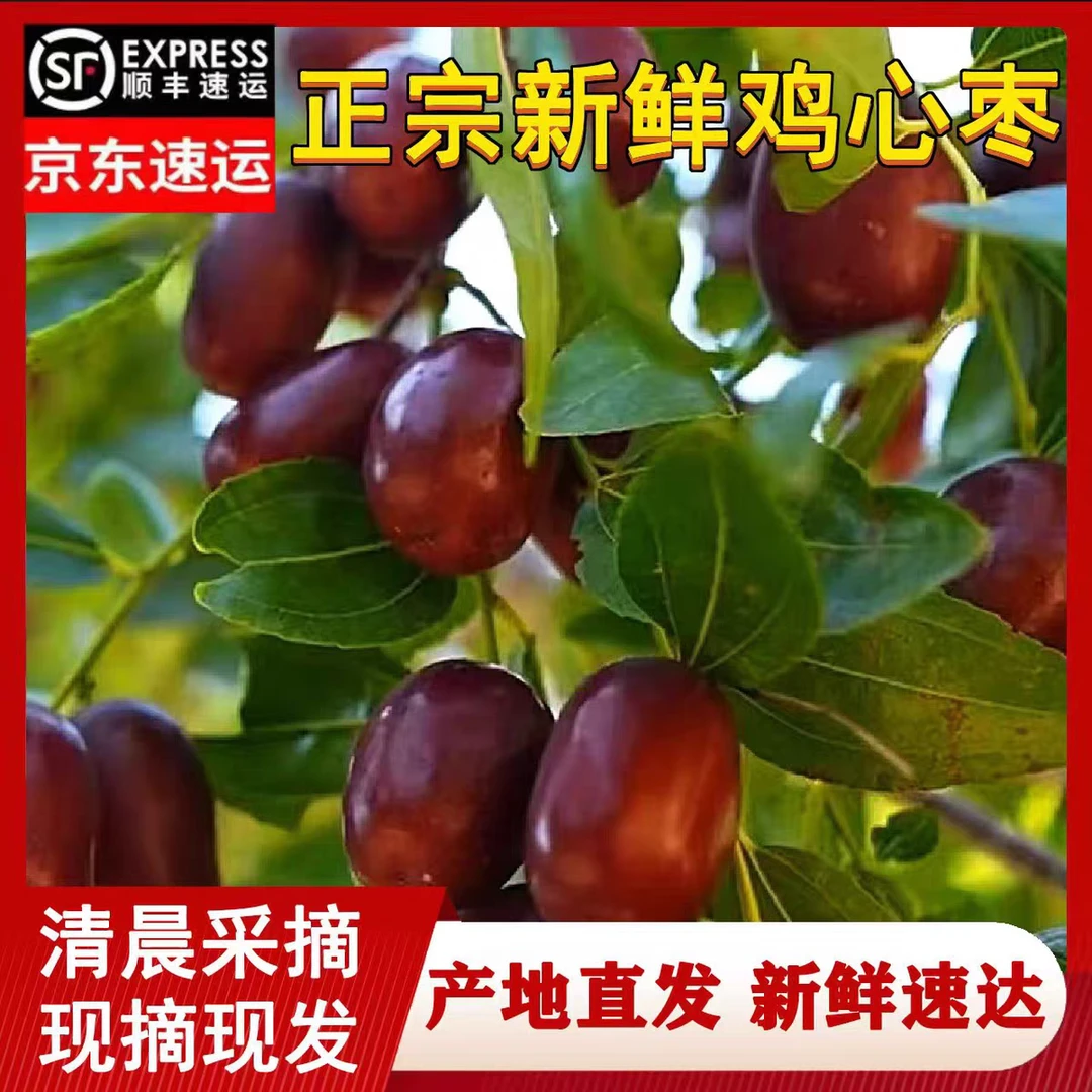 【顺丰发货】2025头茬鲜枣正宗山西鸡心枣现摘蒸枣新鲜水果脆甜整箱